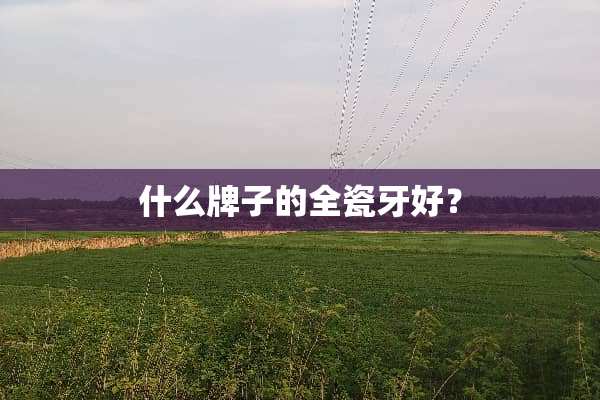 什么牌子的全瓷牙好？