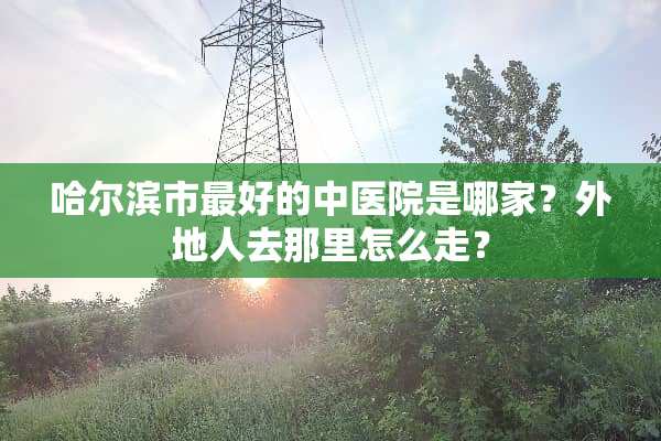 哈尔滨市最好的中医院是哪家？外地人去那里怎么走？