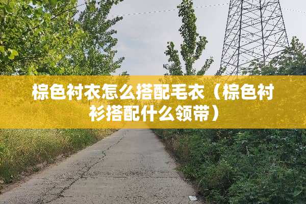 棕色衬衣怎么搭配毛衣（棕色衬衫搭配什么领带）