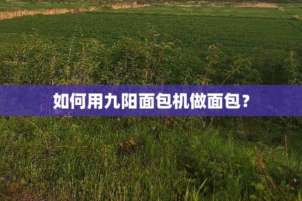 如何用九阳面包机做面包？