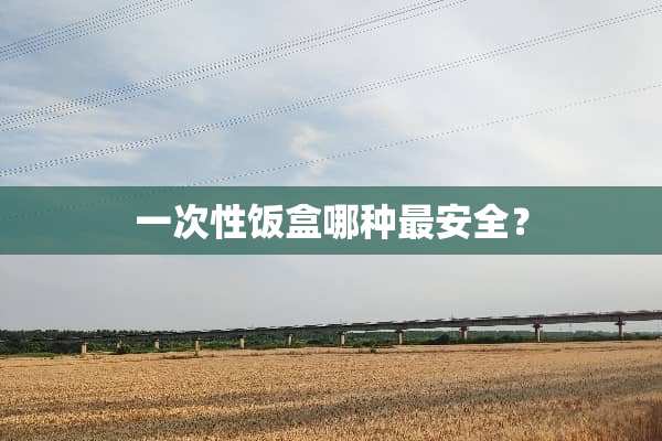 一次性饭盒哪种最安全？