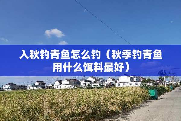 入秋钓青鱼怎么钓（秋季钓青鱼用什么饵料最好）