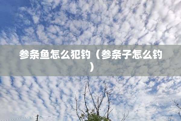 参条鱼怎么犯钓（参条子怎么钓）