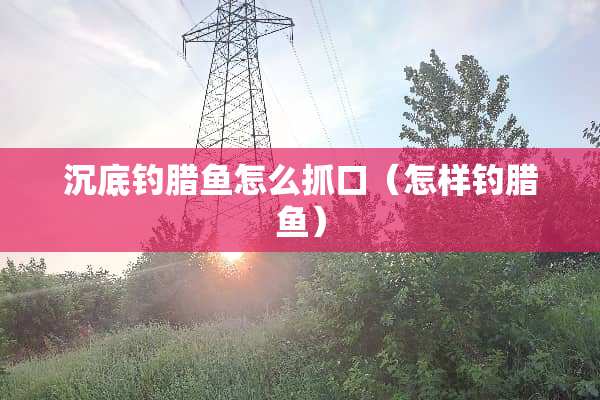 沉底钓腊鱼怎么抓口（怎样钓腊鱼）