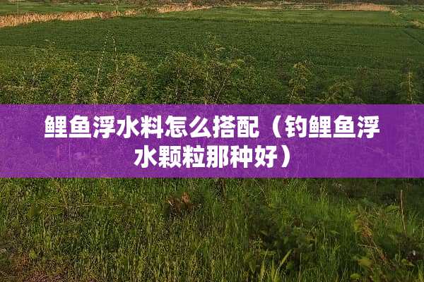 鲤鱼浮水料怎么搭配（钓鲤鱼浮水颗粒那种好）