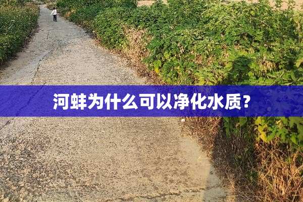 河蚌为什么可以净化水质？