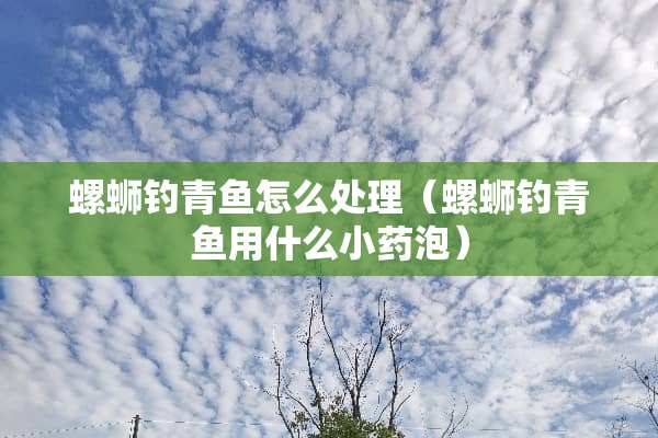 螺蛳钓青鱼怎么处理（螺蛳钓青鱼用什么小药泡）