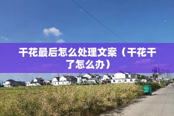 干花最后怎么处理文案（干花干了怎么办）