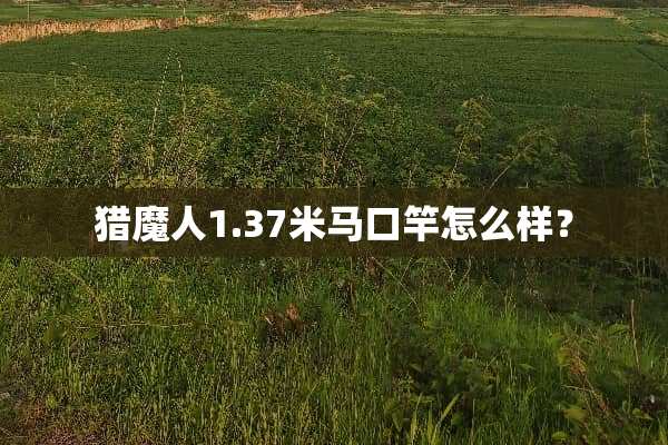 猎魔人1.37米马口竿怎么样？