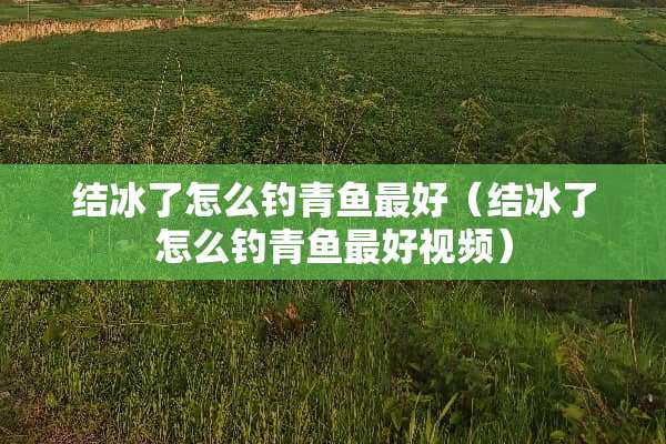 结冰了怎么钓青鱼最好（结冰了怎么钓青鱼最好视频）
