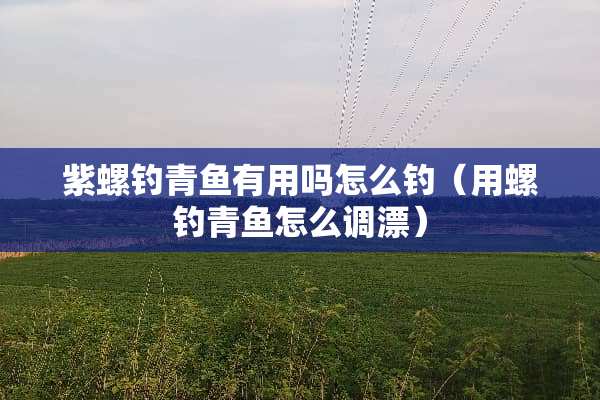 紫螺钓青鱼有用吗怎么钓（用螺钓青鱼怎么调漂）