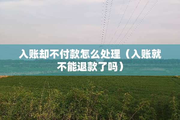 入账却不付款怎么处理（入账就不能退款了吗）
