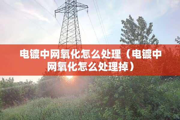 电镀中网**怎么处理（电镀中网**怎么处理掉）