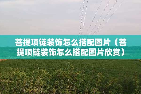 **项链装饰怎么搭配图片（**项链装饰怎么搭配图片欣赏）