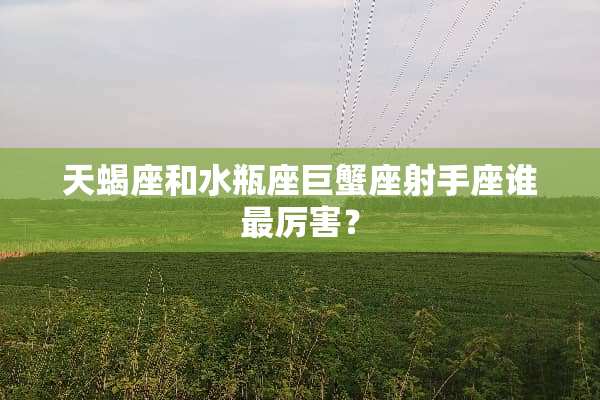 天蝎座和水瓶座巨蟹座射手座谁最厉害？