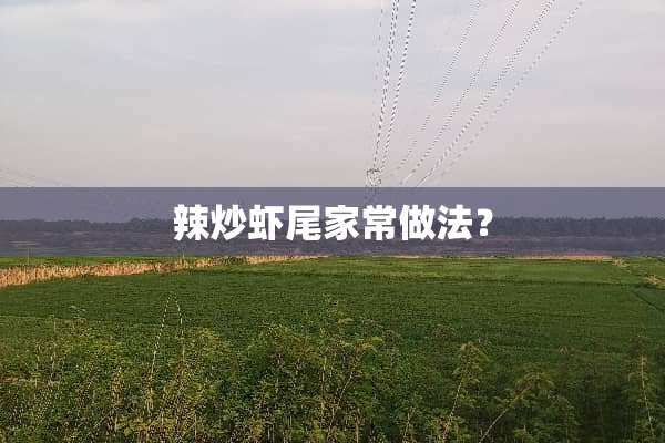 辣炒虾尾家常做法？