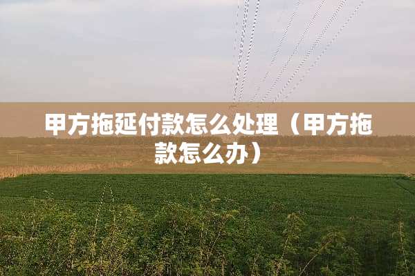 甲方拖延付款怎么处理（甲方拖款怎么办）