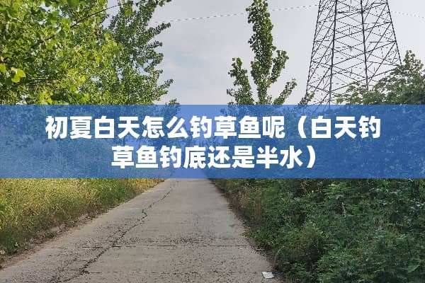 初夏白天怎么钓草鱼呢（白天钓草鱼钓底还是半水）