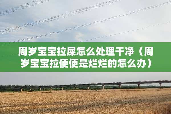周岁宝宝拉屎怎么处理干净（周岁宝宝拉便便是烂烂的怎么办）