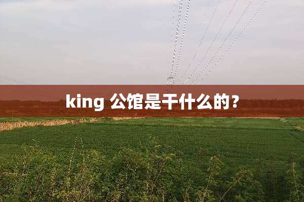 king 公馆是干什么的？