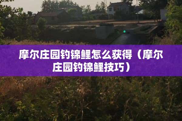 摩尔庄园钓锦鲤怎么获得（摩尔庄园钓锦鲤技巧）
