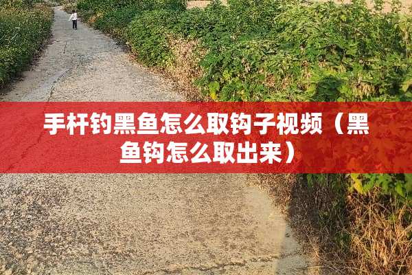 手杆钓黑鱼怎么取钩子视频（黑鱼钩怎么取出来）