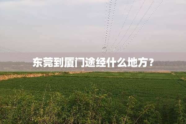 东莞到厦门途经什么地方？