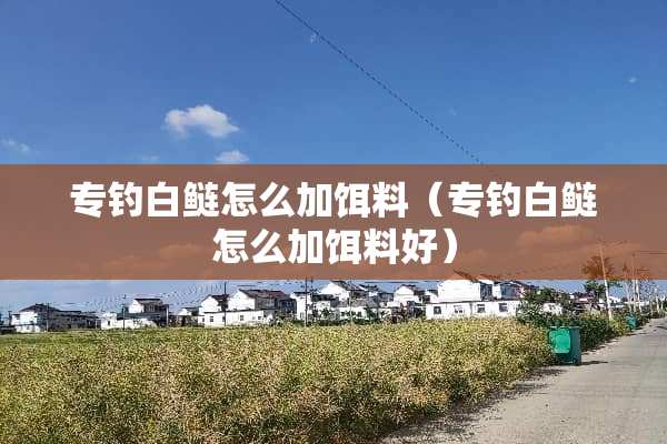 专钓白鲢怎么加饵料（专钓白鲢怎么加饵料好）