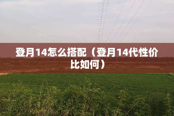 登月14怎么搭配（登月14代性价比如何）