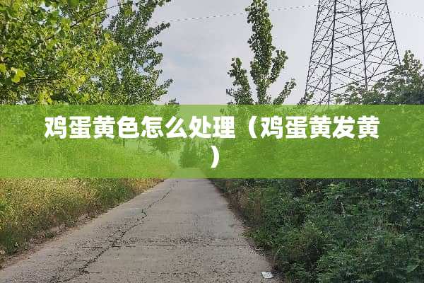 鸡蛋**怎么处理（鸡蛋黄发黄）