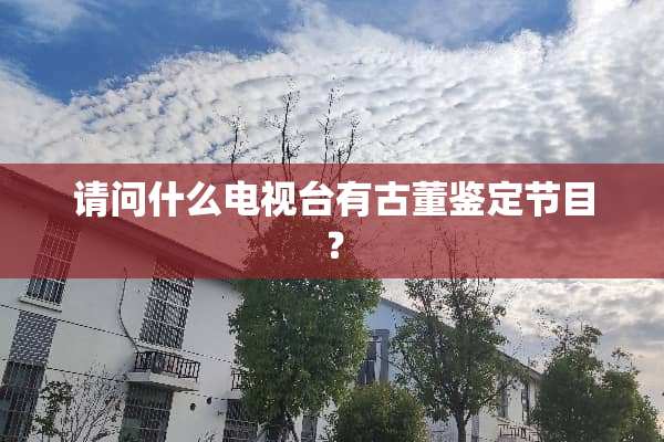 请问什么电视台有古董鉴定节目？