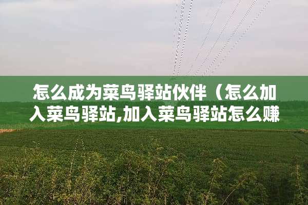 怎么成为菜鸟驿站伙伴（怎么加入菜鸟驿站,加入菜鸟驿站怎么赚钱?）