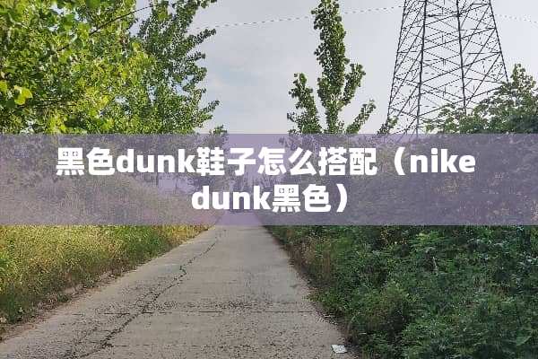 黑色dunk鞋子怎么搭配（nike dunk黑色）