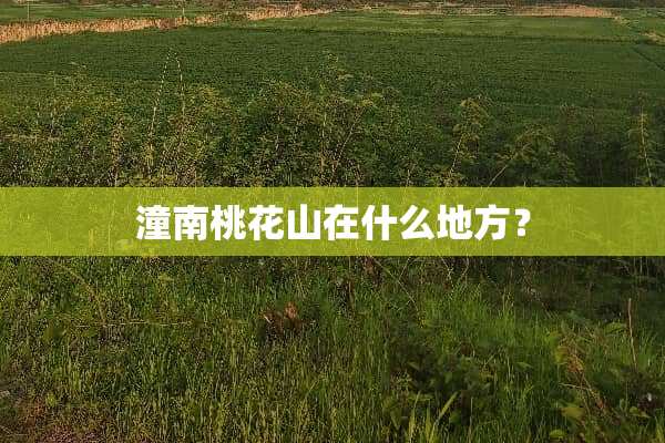 潼南桃花山在什么地方？