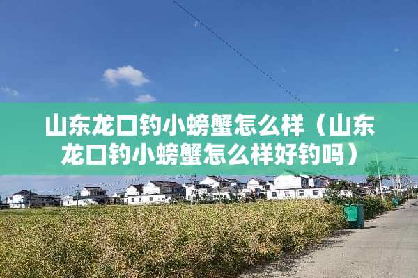 山东龙口钓小螃蟹怎么样（山东龙口钓小螃蟹怎么样好钓吗）
