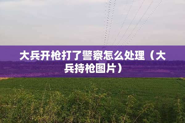 大兵开*打了**怎么处理（大兵持*图片）