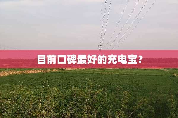 目前口碑最好的充电宝？