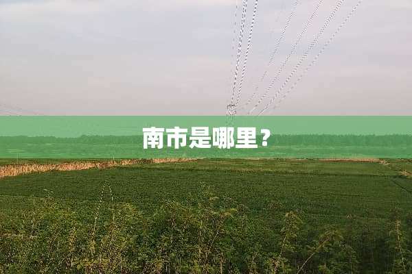 南市是哪里？