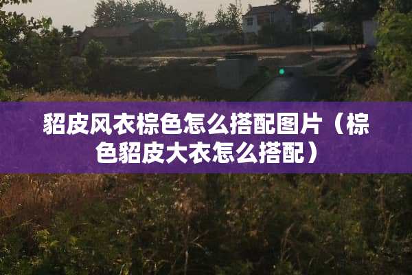 貂皮风衣棕色怎么搭配图片（棕色貂皮大衣怎么搭配）