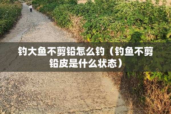 钓大鱼不剪铅怎么钓（钓鱼不剪铅皮是什么状态）