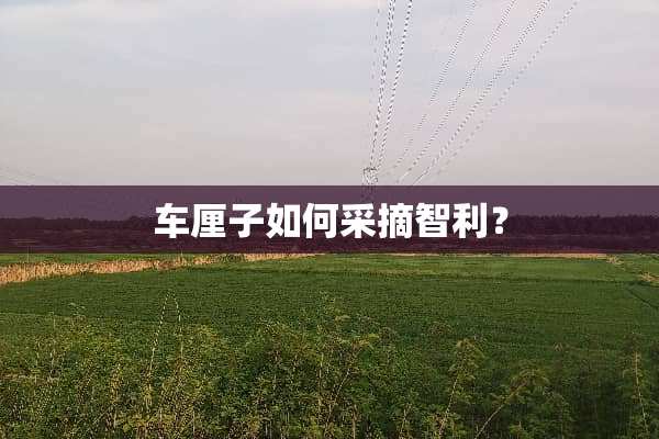 车厘子如何采摘智利？