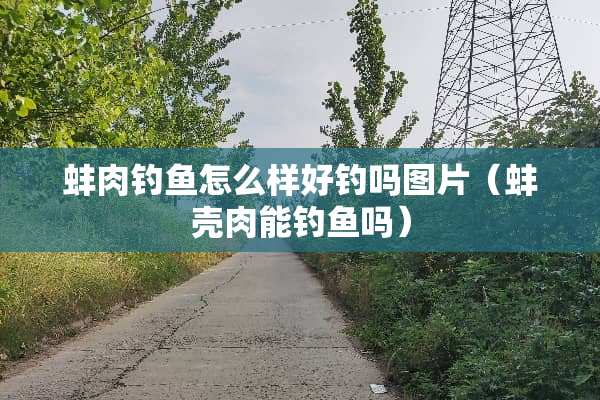 蚌肉钓鱼怎么样好钓吗图片（蚌壳肉能钓鱼吗）