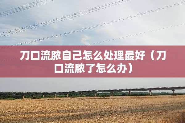 刀口流脓自己怎么处理最好（刀口流脓了怎么办）
