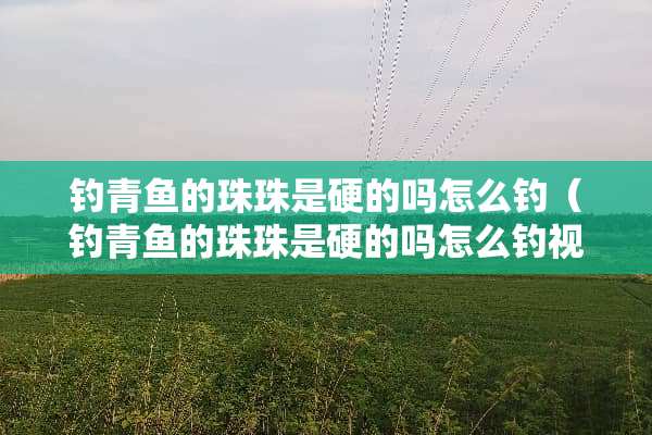 钓青鱼的珠珠是硬的吗怎么钓（钓青鱼的珠珠是硬的吗怎么钓视频）