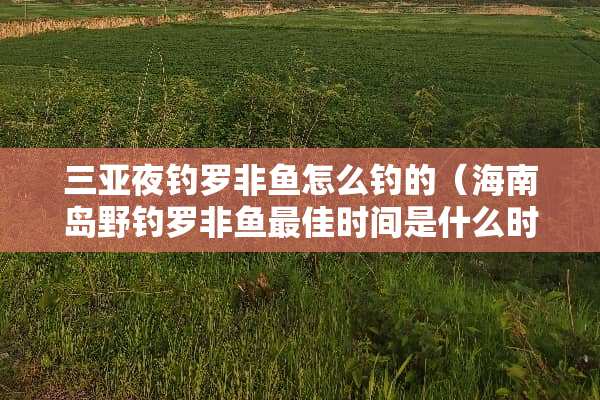 三亚夜钓罗非鱼怎么钓的（海南岛野钓罗非鱼最佳时间是什么时候）