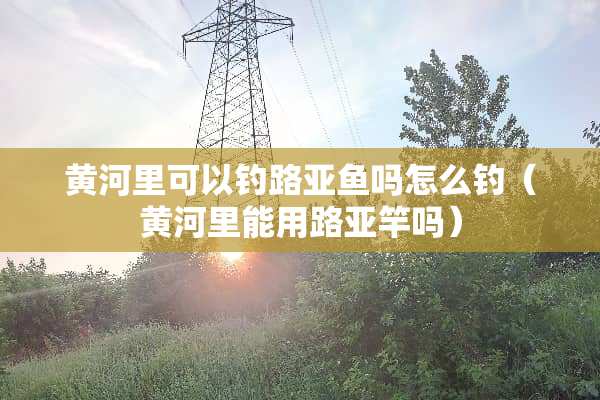 黄河里可以钓路亚鱼吗怎么钓（黄河里能用路亚竿吗）