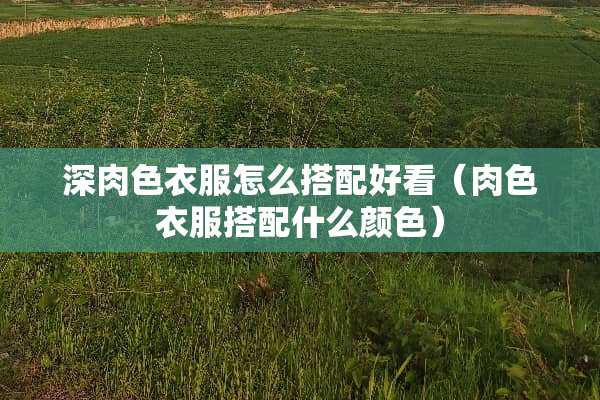 深肉色衣服怎么搭配好看（肉色衣服搭配什么颜色）