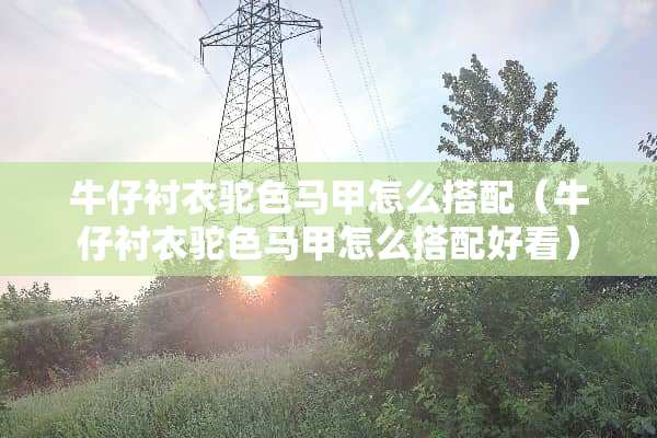 牛仔衬衣驼色马甲怎么搭配（牛仔衬衣驼色马甲怎么搭配好看）
