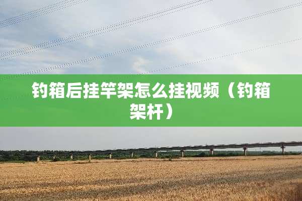 钓箱后挂竿架怎么挂视频（钓箱架杆）