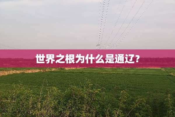 世界之根为什么是通辽？